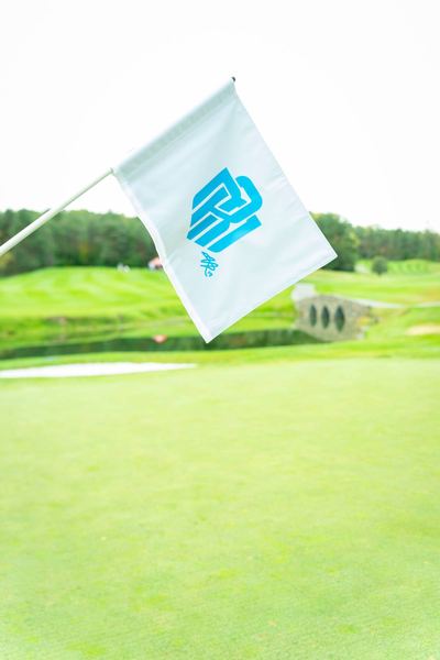 Professional tournament photo 498